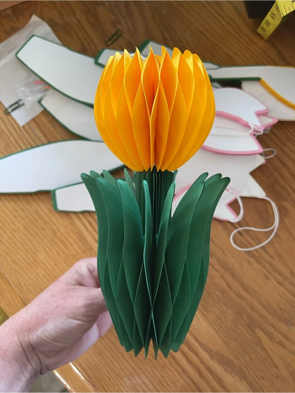 Decorative Tulip Honeycombs-Pink, Yellow, Cream. Set of 12. NEW 💐🌷💐